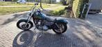 Harley davidson special paint, Motoren, Motoren | Aprilia, 2 cilinders, Particulier, Meer dan 35 kW, Overig