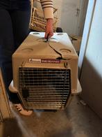 Bench hond, Dieren en Toebehoren, Ophalen of Verzenden