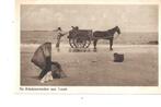 SCHEVENINGEN - schelpenvisser, Verzenden, Voor 1920, Gelopen, Zuid-Holland