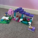 Lego minecraft de dierenopvang 21253, Ophalen of Verzenden, Zo goed als nieuw