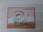 Republiek Benin 1996, Champignons, Ophalen of Verzenden, Overige landen, Gestempeld