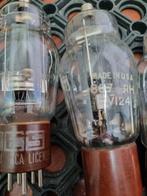 5x 807 buizen 4x USA made, Ophalen of Verzenden, Buis of Buizen