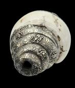 Grote Antiek Zilveren Tibetaans Shankha Hoorn, Antiek en Kunst, Verzenden, Zilver