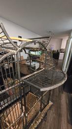 Grote vogelkooi Strong Villa Claudia, Dieren en Toebehoren, Vogels | Hokken en Kooien, Ophalen, Gebruikt, Metaal, Vogelkooi