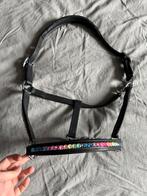 Leren halster met regenboog steentjes maat pony, Ophalen, Nieuw, Recreatie