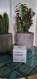 Mesoestetic Cosmelan 2 - Nieuw & Verzegeld, Sieraden, Tassen en Uiterlijk, Uiterlijk | Gezichtsverzorging, Ophalen of Verzenden