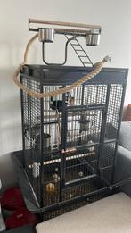 Twee valkparkieten met grote vogelkooi, Ophalen, Zo goed als nieuw, Metaal, Vogelkooi