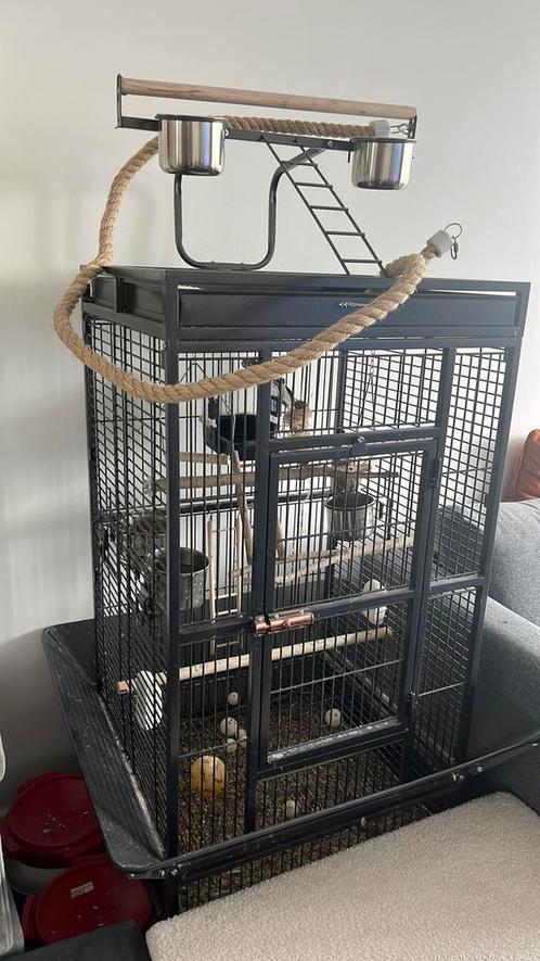 Twee valkparkieten met grote vogelkooi, Dieren en Toebehoren, Vogels | Hokken en Kooien, Zo goed als nieuw, Vogelkooi, Metaal