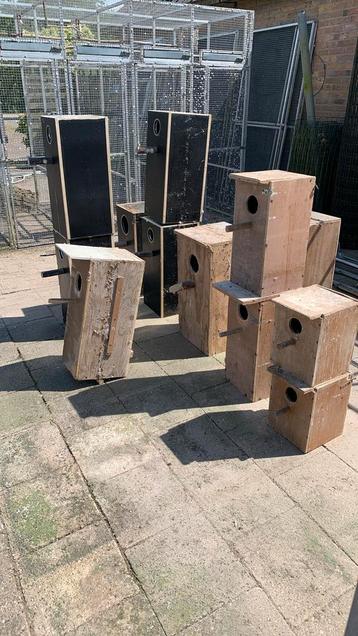 Broedblokken te koop beschikbaar voor biedingen