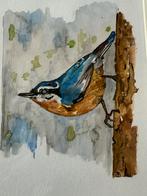 Boomklever Aquarel, Ophalen of Verzenden