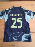 Ajax uit voetbaltenue seizoen 2025/2026 maat 146/152/164, Maat XS of kleiner, Ophalen of Verzenden, Nieuw, Shirt