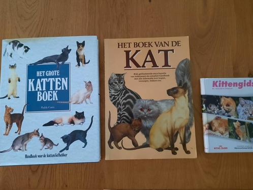 3x boeken met alle info over KATTEN voor 10 euro,  per stuk, Boeken, Dieren en Huisdieren, Zo goed als nieuw, Katten, Ophalen of Verzenden