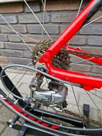 Wilier triestina Izoard carbon racefiets maat 53 cm, Overige merken, 28 inch, Gebruikt, Carbon