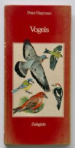 Peter Hayman - Vogels (zakgids), Boeken, Ophalen of Verzenden, Gelezen, Vogels