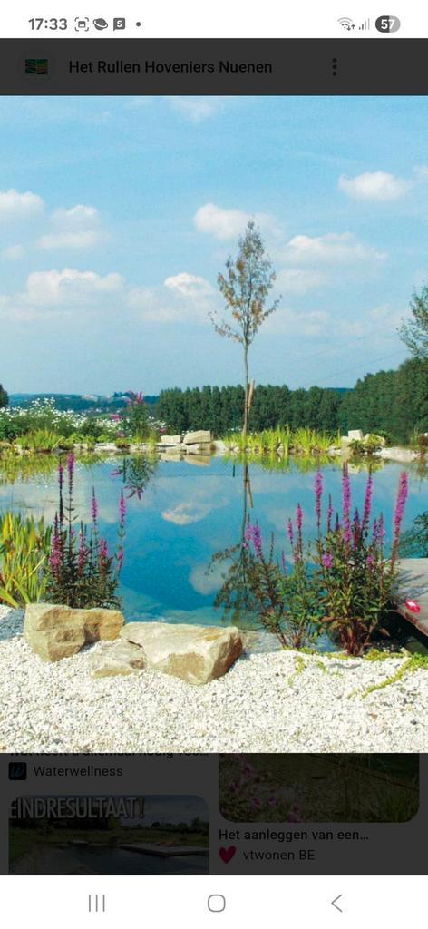 biologische vijver & zwemvijver aanleggen-Gratis advies, Tuin en Terras, Vijvers, Ophalen