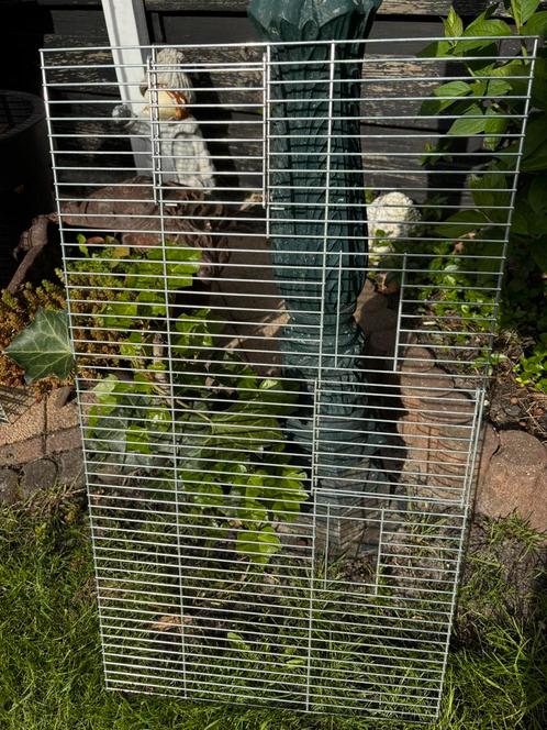 Broedkooi Voorfronten met klepjes en diverse voerbakken, Dieren en Toebehoren, Vogels | Hokken en Kooien, Gebruikt, Broedkooi of Kweekkooi