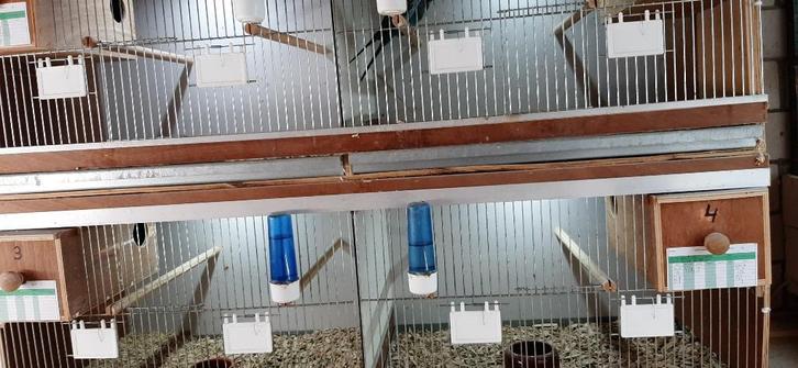 parkieten kooien, Dieren en Toebehoren, Vogels | Hokken en Kooien, Gebruikt, Broedkooi of Kweekkooi, Hout, Ophalen