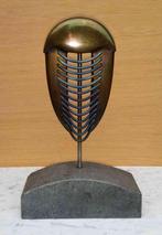 Brons object TRILOBITE met TITAAN draadjes UNICAAT, 115,00, Ophalen