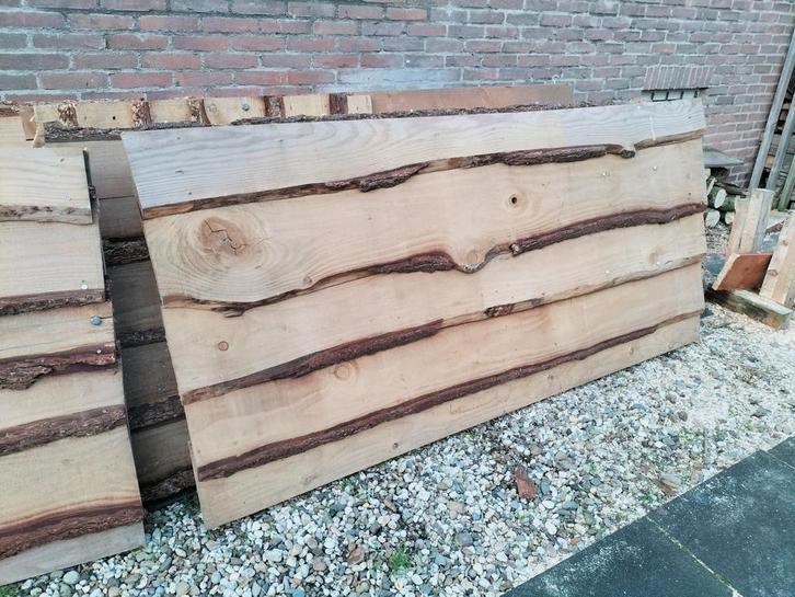 Dierenverblijf van schaaldelen, Dieren en Toebehoren, Overige Dieren, Meerdere dieren, Januari