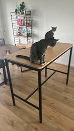 Tommaryd hoge tafel, Ophalen, Gebruikt