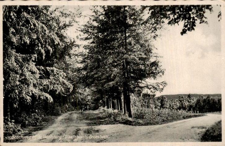 Groesbeek  - Boschweg bij de Wolfsberg, Verzamelen, Ansichtkaarten | Nederland, Gelopen, Gelderland, Voor 1920, Ophalen of Verzenden