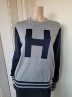 Tommy Hilfiger trui grijs maat M/38, Maat 38/40 (M), Ophalen of Verzenden, Zo goed als nieuw, Grijs