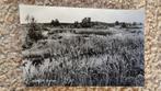 Oude ansichtkaart Borger - Duinven, Verzamelen, Ansichtkaarten | Nederland, Ophalen of Verzenden, 1940 tot 1960, Gelopen, Drenthe