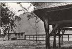 orvelte- boerderij, Ophalen of Verzenden, 1940 tot 1960, Drenthe