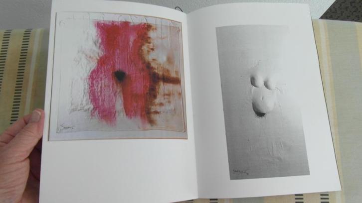 PAUL BAKKER ; gesigneerde uitgave, goedkoop, Boeken, Kunst en Cultuur | Beeldend, Zo goed als nieuw, Schilder- en Tekenkunst, Ophalen of Verzenden