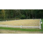 Gezocht: ambitieuze ruiter/amazone voor talentvol paard, Ophalen, Nieuw, Dressuur
