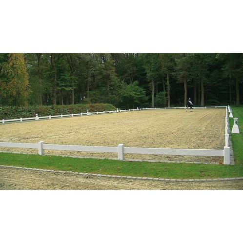 Gezocht: ambitieuze ruiter/amazone voor talentvol paard, Dieren en Toebehoren, Paarden en Pony's | Overige Paardenspullen, Nieuw