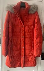 Tommy Hilfiger dames winter jas dons mt S, Ophalen of Verzenden, Zo goed als nieuw, Blauw