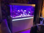 Te koop Eheim zeeaquarium, Dieren en Toebehoren, Vissen | Aquaria en Toebehoren, Ophalen, Zo goed als nieuw, Filter of Co2