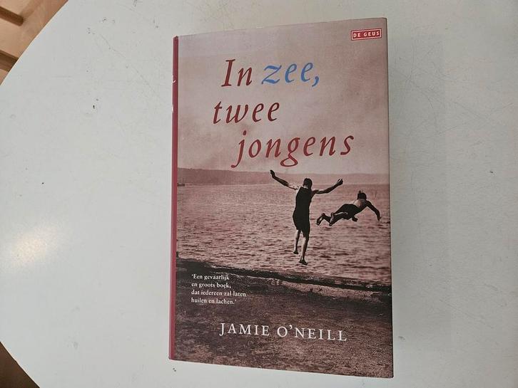 Joseph O'Neill - In zee, twee jongens, Boeken, Literatuur, Gelezen, Nederland, Verzenden