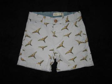 Super toffe licht blauwe vogel short van ZARA mt 104.  beschikbaar voor biedingen