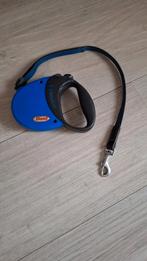 Flexi hondenriem/rollijn 5 mtr., Dieren en Toebehoren, Ophalen of Verzenden, Zo goed als nieuw