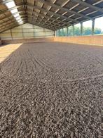 Pensionplek vrij v sociale merrie, Dieren en Toebehoren, Stalling en Weidegang