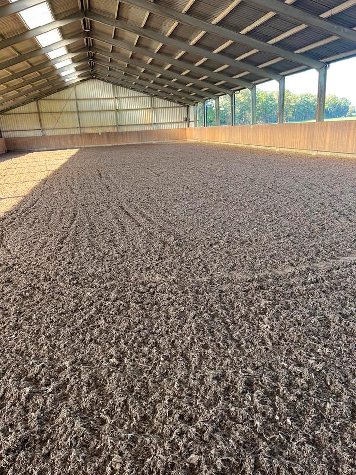 Pensionplek vrij v sociale merrie, Dieren en Toebehoren, Stalling en Weidegang