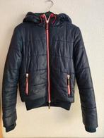 Winterjas Superdry maat S blauw met rode voering ophalen, Ophalen, Zo goed als nieuw, Maat 36 (S), Superdry