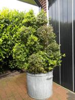 Grote emmer tuinpot bloempot tuinplant Zink  45 H 50 doorsn, Tuin, 40 tot 70 cm, Rond, Metaal
