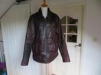 Herenjas van leer winter jas Lion Vanguard maat XL, Bruin, Maat 56/58 (XL), Ophalen of Verzenden, Zo goed als nieuw