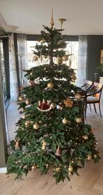 kerstboom, Diversen, Kerst, Ophalen