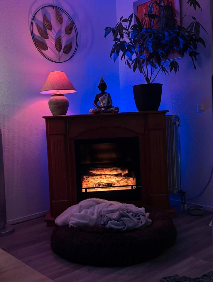 Sfeerhaard, Huis en Inrichting, Haarden, Zo goed als nieuw, Elektrische haard, Ophalen