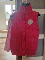Mooie roze paardrijbodywarmer, Kleding | Dames, Ophalen of Verzenden, Zo goed als nieuw, Roze