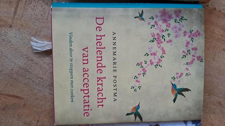 Annemarie Postma - De helende kracht van acceptatie, Boeken, Esoterie en Spiritualiteit, Zo goed als nieuw, Achtergrond en Informatie