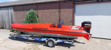 Wildcat Race rib 8 m met Mercury 200 pk V6  beschikbaar voor biedingen