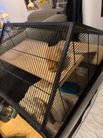 Syrische hamster + kooi en bijbehoren, Dieren en Toebehoren, Minder dan 60 cm, Kooi, Ophalen of Verzenden, Zo goed als nieuw