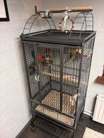 Dwergpapegaai (2) met kooi!, Dieren en Toebehoren, Ophalen of Verzenden, Zo goed als nieuw, Metaal, Vogelkooi