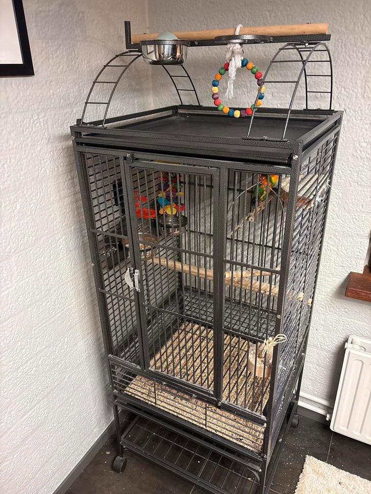 Dwergpapegaai (2) met kooi!, Dieren en Toebehoren, Vogels | Hokken en Kooien, Zo goed als nieuw, Vogelkooi, Metaal, Ophalen of Verzenden