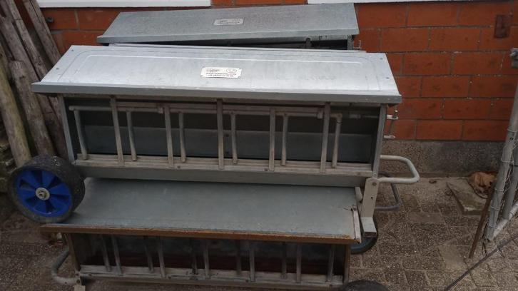 Creepfeeders/lammerenvoerbakken, Dieren en Toebehoren, Schapen, Geiten en Varkens, Schaap, Meerdere dieren